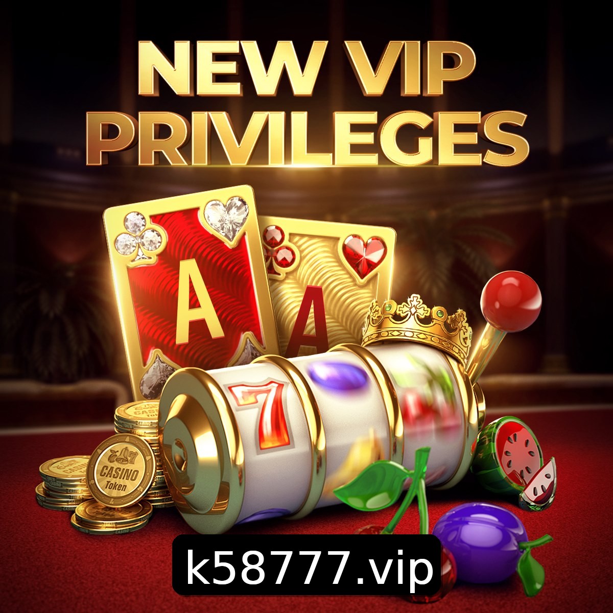 Programa VIP K58